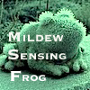 sunnymodffa: (MSF - Mildew Sensing Frog)