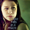 veleda_k: Sarah from Orphan Black. Text says, "Like rats in maze." (Orphan Black: Sarah)