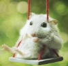 spikesgirl58: (swinging mouse)