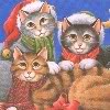 spikesgirl58: (christmas kittens)