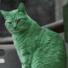 chatvert: (Default)