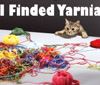 karalianne: Cute kitten crawling towards a bunch of yarn, text says "I finded yarnia!" (knitting)