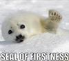 sunnymodffa: (Seal of Firstness)