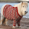 sunnymodffa: (Fair Isle sweater Shetland pony)