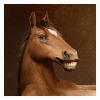 sunnymodffa: (Smug Pony)