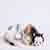ionyx_halostar: (Sleepy Kitten)