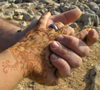 trinker: My hand in B's, wedding ring, mehndi by ame_chan (handinhand)