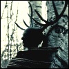 cook_the_rude: (Bound to a Baltic birch tree)