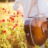 singthesong: (Poppies)