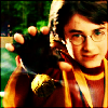 snowflakie06: (harry snitch)