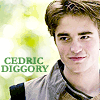 snowflakie06: (me cedric meant to be)
