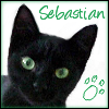 vilakins: (sebastian)