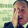 ladyoflisquill: (CSI - Brass can not believe by artistic-)