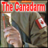 rusty_armour: (canadaarm)