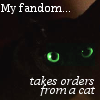 practicalcat: A picture of a green-eyed black cat with the caption "My fandom takes orders from a cat" (Redemption of Althalus)