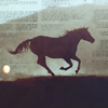 queenlua: (horse galloping silhouette)