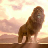 genarti: Aslan standing sunlit and in front of the sunrise. ([narnia] not a tame Lion)
