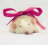 mousetail: Sleeping mouse with a pink box (furgles up)