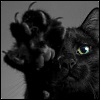 ostro_goth: (z Cats - Myrrh the Great Hunter)