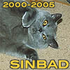 turlough: Sinbad showing his tummy with the text "Sinbad 2000-2005" in yellow ((other) sinbad)