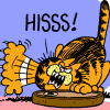 yeuxdebleu: Angry Garfield going "Hissss!" (Garfield Angry "Hissss!")
