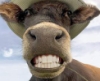 virtualsmoker: (smile)