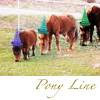 sunnymodffa: line of ponies in hats (party pony line)