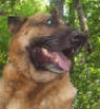 begemotik64: (Default)