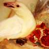 nightdog_barks: Painting of a white crow or raven with a pomegranate seed in its beak (White Raven)