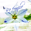 goldfish19: (so fragile)