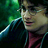 gryffindor_seeker: robins (pic#8038569)