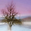 phlourish_icons: (Tree Water)
