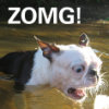 happygoth: (ZOMG)