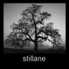 stillane: (Default)