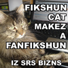 skaredykat: (fikshun cat)