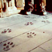 constantprisoner: (padfoot)