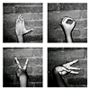 meloukhia: Four hands spelling out 'LOVE' in ASL. (Signed love)