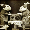 elmey: radio rabbits (wabbit)