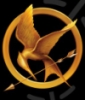toxicorange: (Hunger Games)