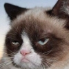 grumpycatanthir: (you keep telling yourself that)