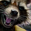 calledmevermin: ([feral] oh yeah!)
