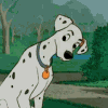 terabient: Cartoon dalmatian shakes her head (101 Dalmatians: Perdita startled)