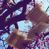 stories_of_salamin: (roosting books)