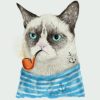 nyrgren: (Grumpy)