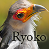 rekindlemods: (Ryoko)