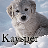 rekindlemods: (Kaysper)