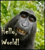 wordwitch: It belongs to the Macaque. (Ape)