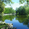 kaydeefalls: pretty pretty st stephen's green (going to my happy place)