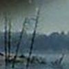 aaaaaaaagh_sky: Slightly fuzzy image of leafless trees along a shoreline (Canada - Wasteland)