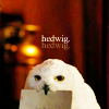 aj: (headwig)